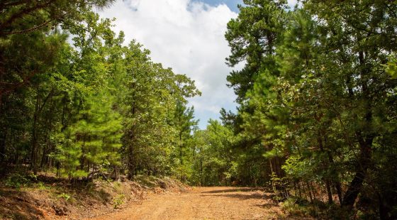 Tyler Stone Ranch Tract 62 in Le Flore County, OK