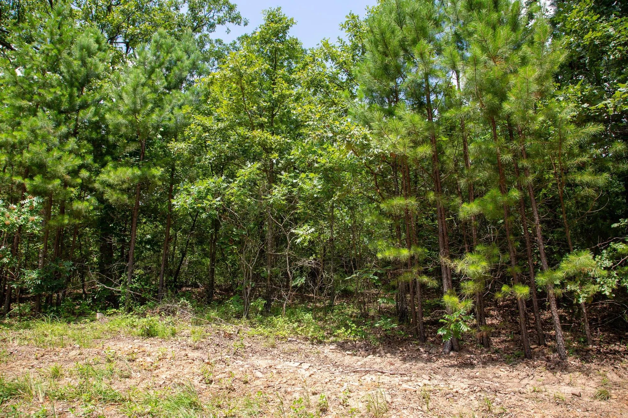 Tyler Stone Ranch Tract 62 in Le Flore County, OK