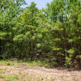 Tyler Stone Ranch Tract 62 in Le Flore County, OK