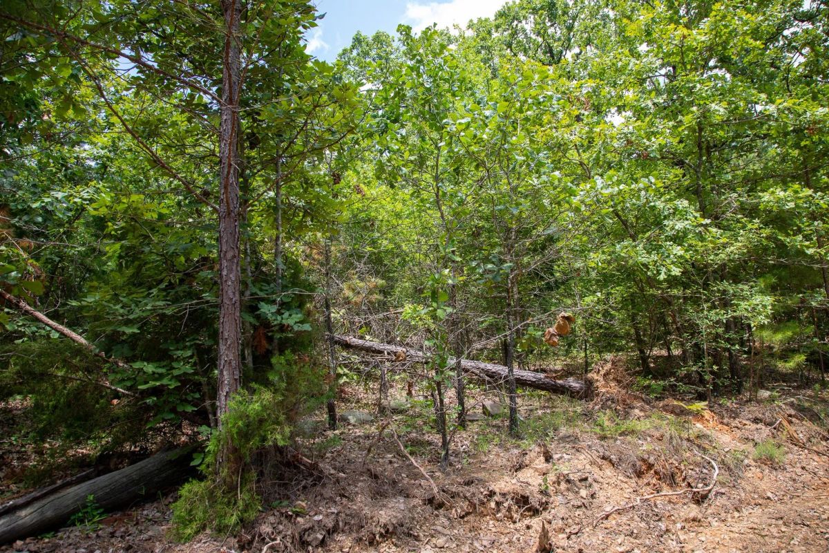 Decorative background for Tyler Stone Ranch Tract 62 image 6