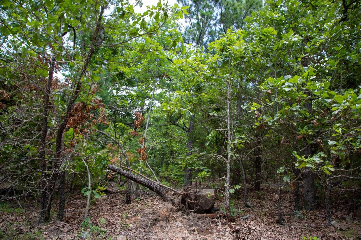 Decorative background for Tyler Stone Ranch Tract 62 image 7