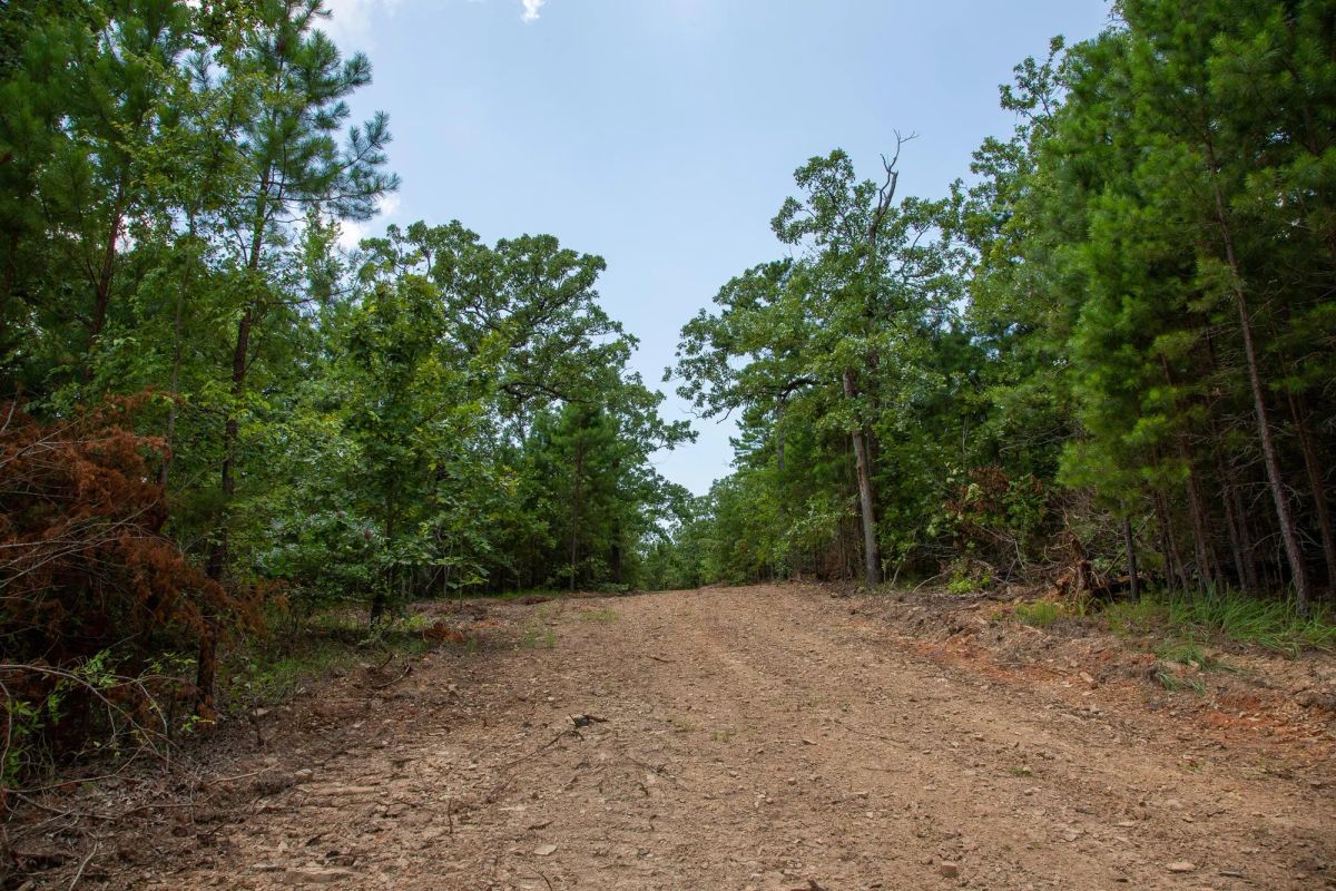 Decorative background for Tyler Stone Ranch Tract 62 image 8