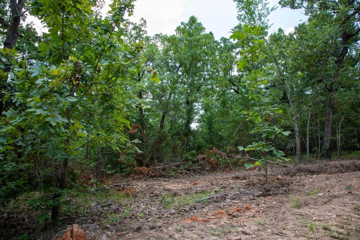 Decorative background for Tyler Stone Ranch Tract 62 image 9