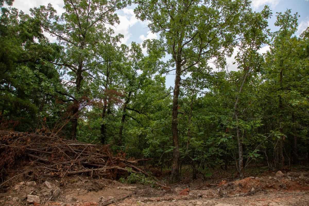 Decorative background for Tyler Stone Ranch Tract 62 image 10