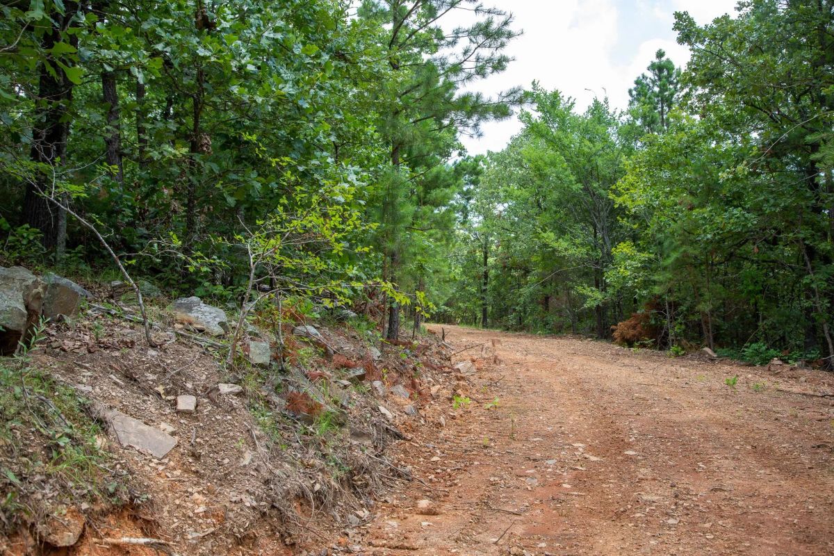 Decorative background for Tyler Stone Ranch Tract 62 image 11
