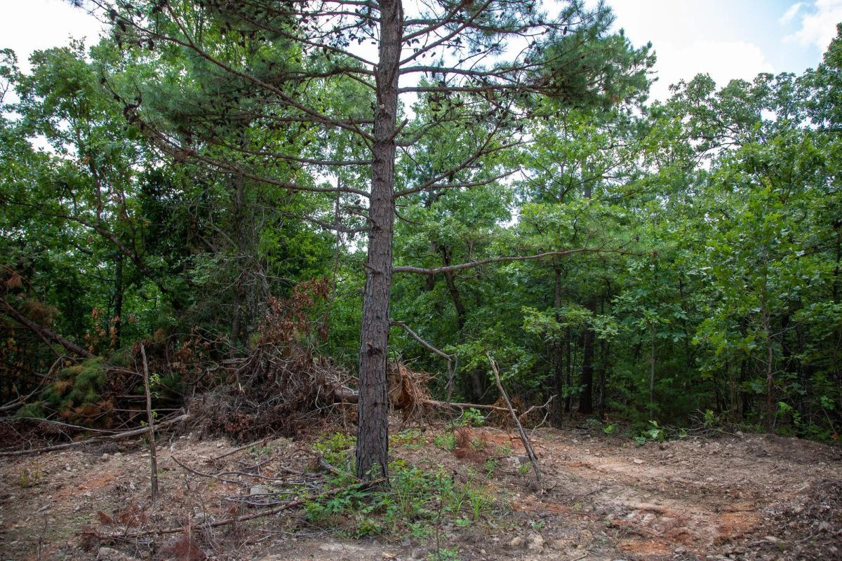 Decorative background for Tyler Stone Ranch Tract 62 image 13