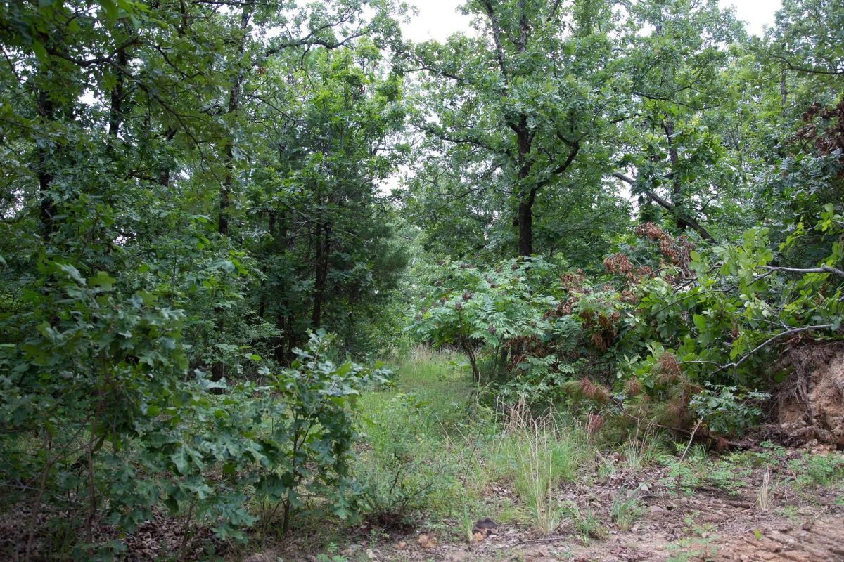Decorative background for Tyler Stone Ranch Tract 62 image 14