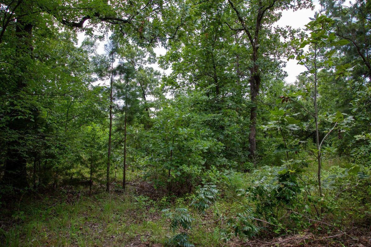 Decorative background for Tyler Stone Ranch Tract 62 image 15