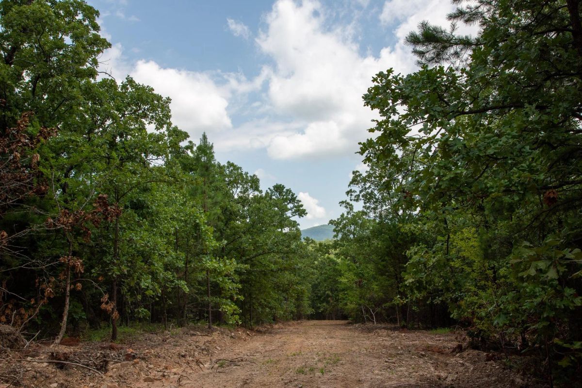 Decorative background for Tyler Stone Ranch Tract 62 image 16