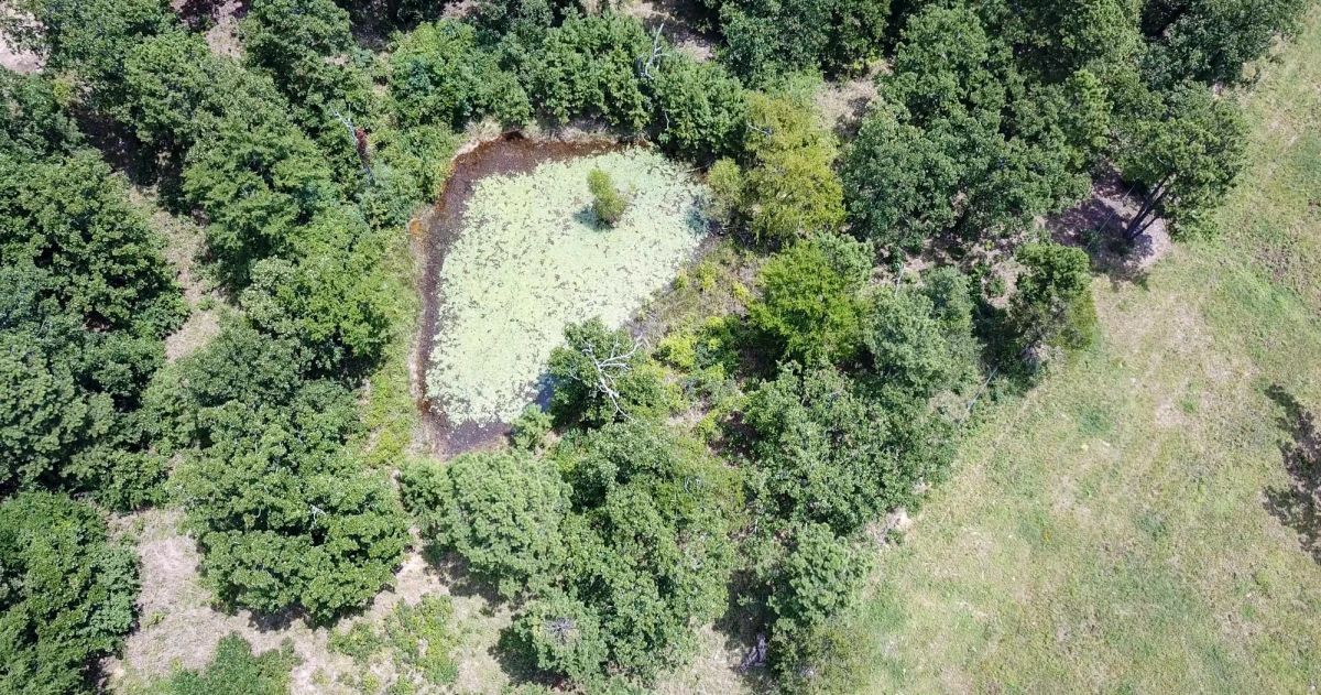 Decorative background for Tyler Stone Ranch Tract 62 image 17