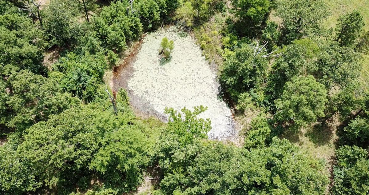 Decorative background for Tyler Stone Ranch Tract 62 image 18