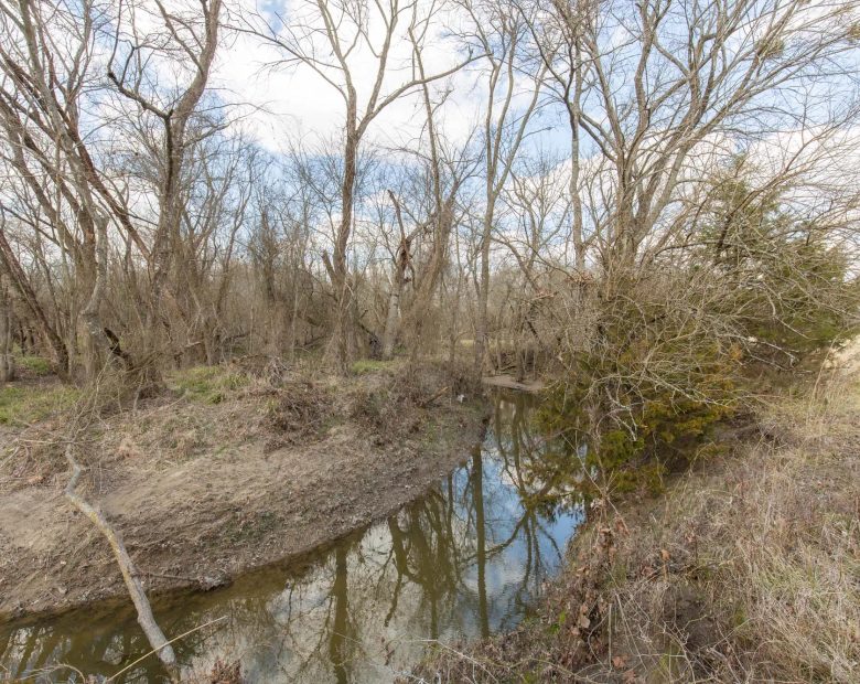 Wishing Star Ranch Tract 36 in Red River County, TX