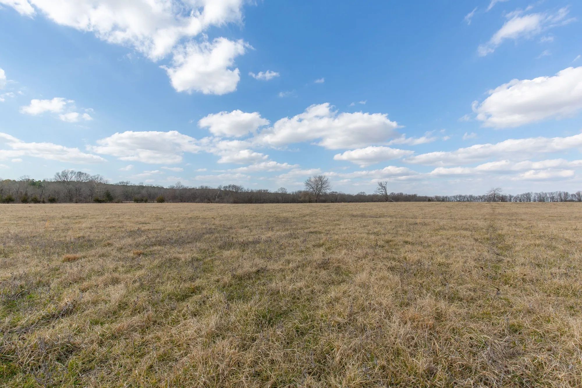 Wishing Star Ranch Tract 36 in Red River County, TX