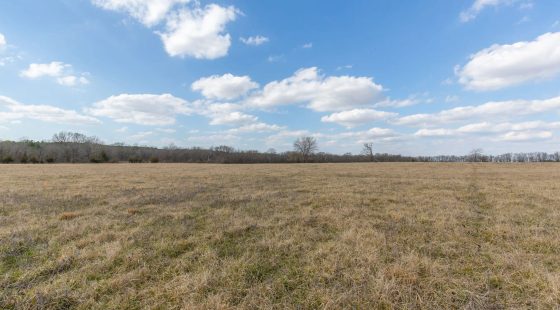 Wishing Star Ranch Tract 36 in Red River County, TX
