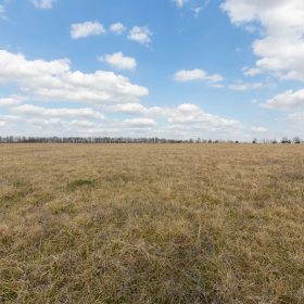 Wishing Star Ranch Tract 36 in Red River County, TX
