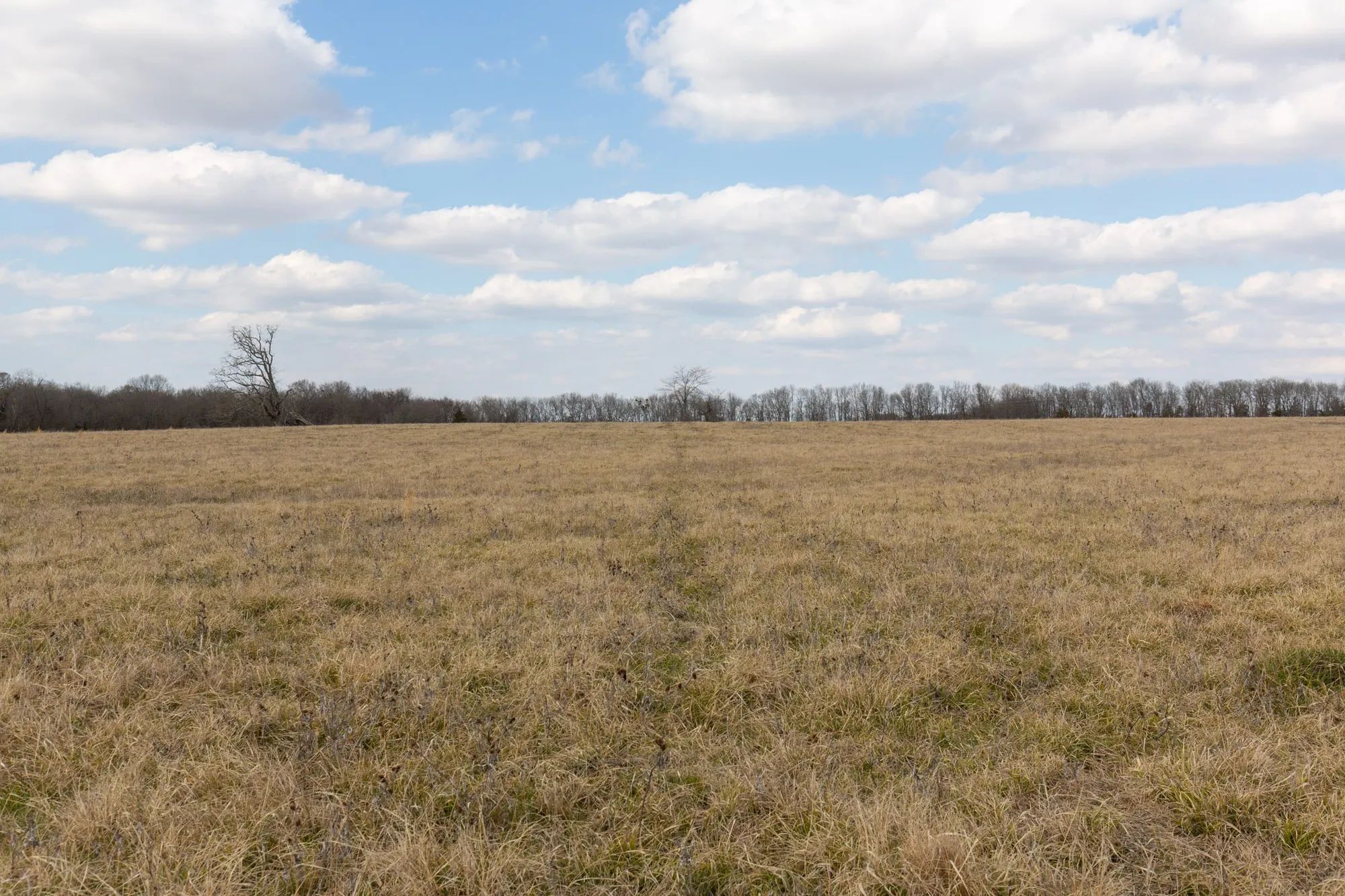 Wishing Star Ranch Tract 36 in Red River County, TX