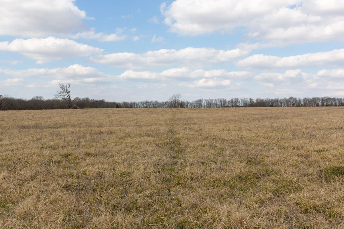 Wishing Star Ranch Tract 36 - Image 4