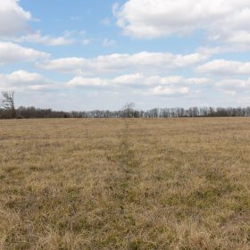 Wishing Star Ranch Tract 36 in Red River County, TX