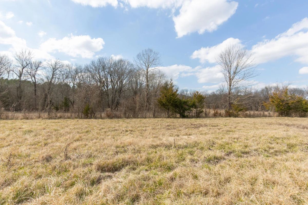 Decorative background for Wishing Star Ranch Tract 36 image 5