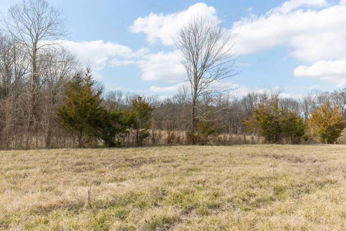 Decorative background for Wishing Star Ranch Tract 36 image 6