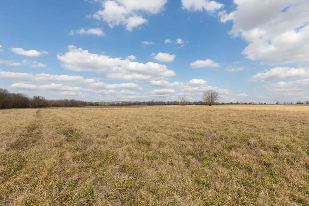 Decorative background for Wishing Star Ranch Tract 36 image 7