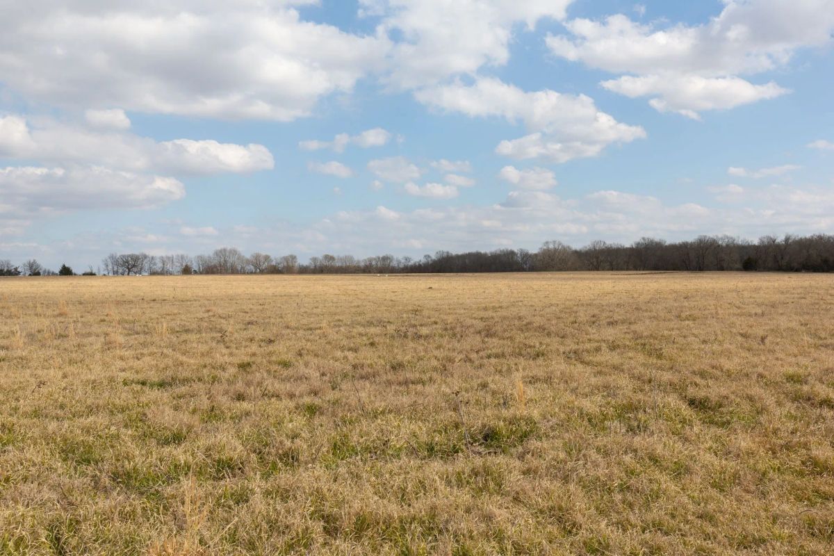 Decorative background for Wishing Star Ranch Tract 36 image 8