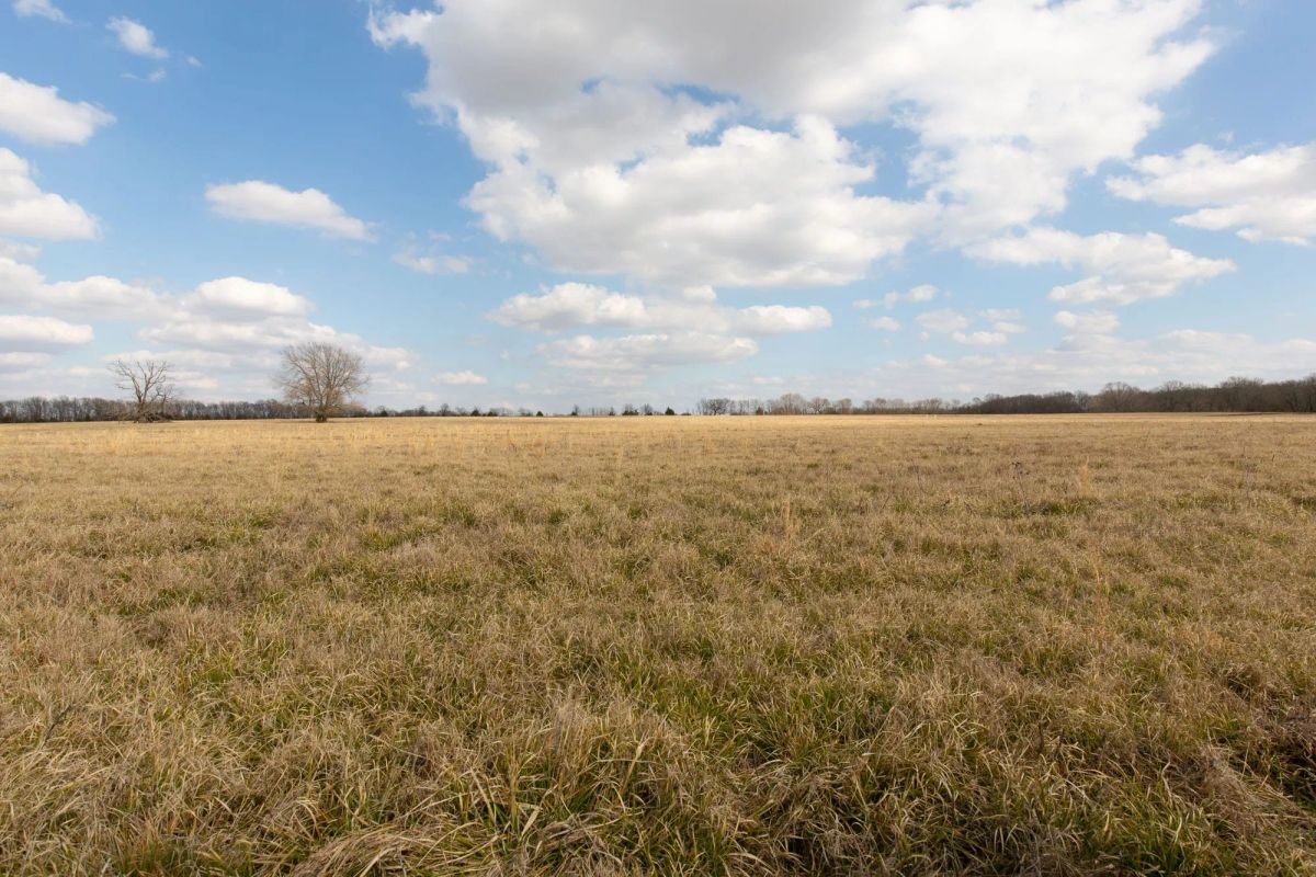 Decorative background for Wishing Star Ranch Tract 36 image 9