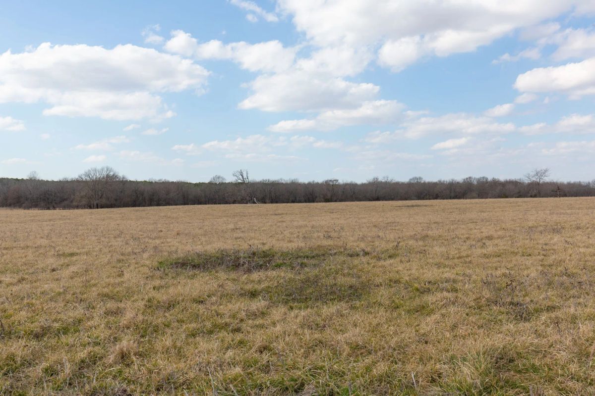 Decorative background for Wishing Star Ranch Tract 36 image 10