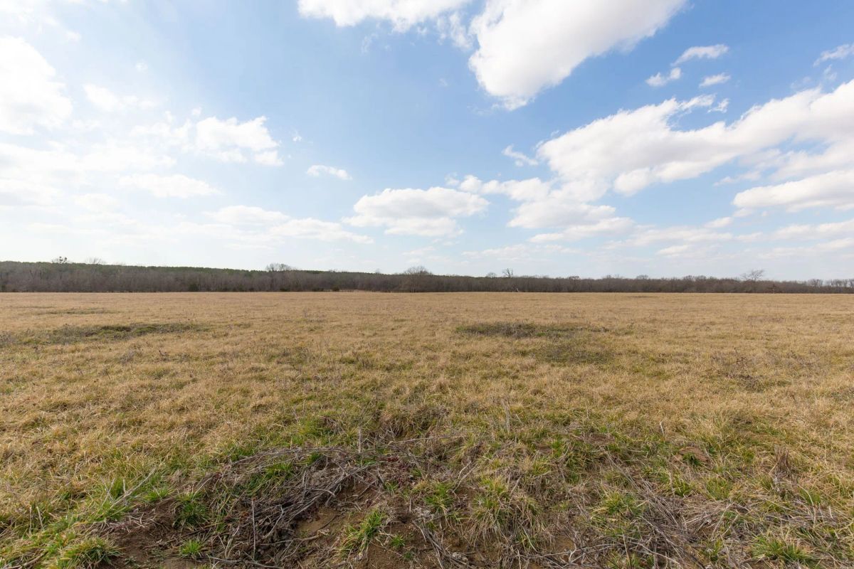 Decorative background for Wishing Star Ranch Tract 36 image 11