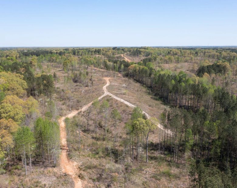 Twin Rivers Tract 16 in Henderson County, TN