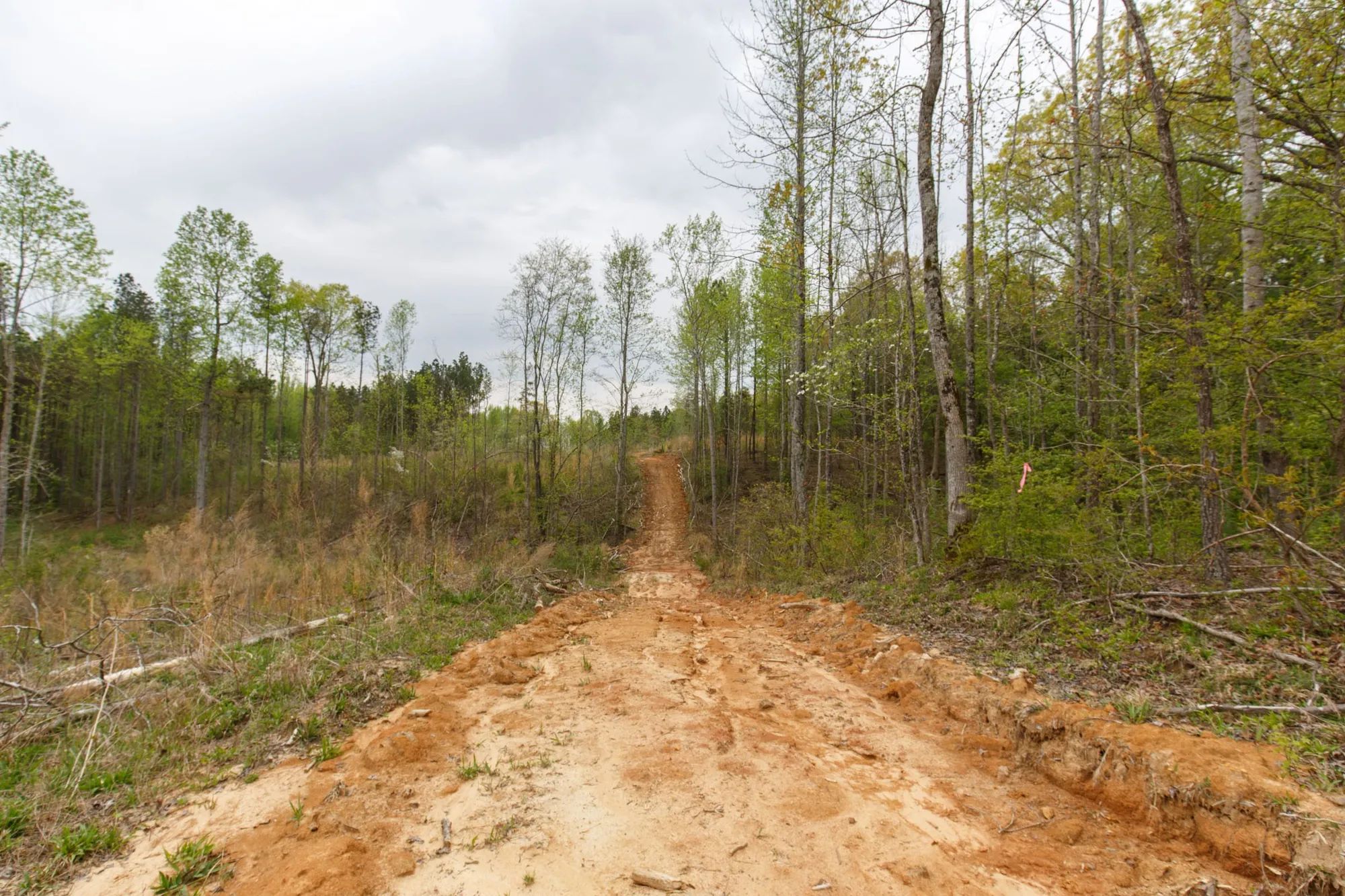 Twin Rivers Tract 16 in Henderson County, TN