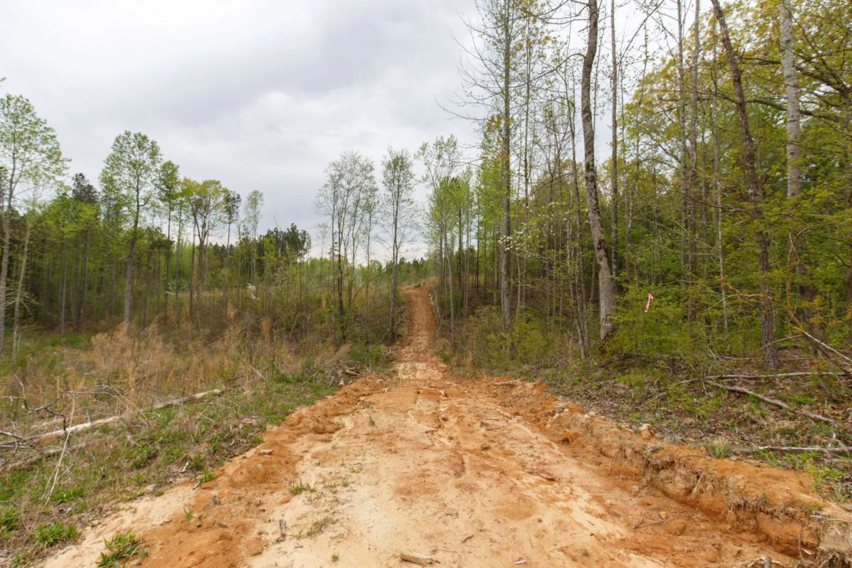 Twin Rivers Tract 16 - Image 2
