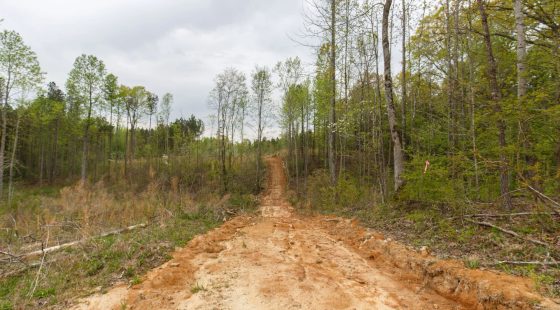 Twin Rivers Tract 16 in Henderson County, TN