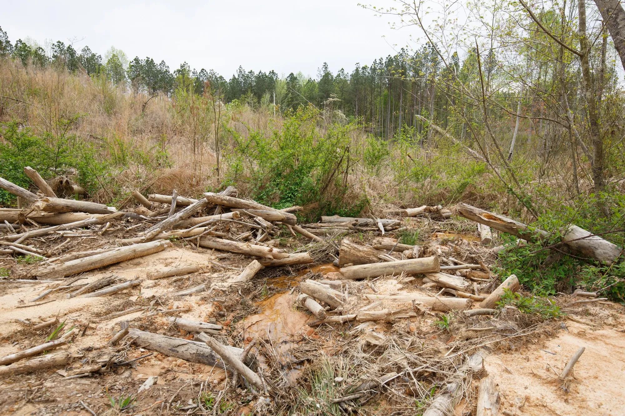 Twin Rivers Tract 16 in Henderson County, TN