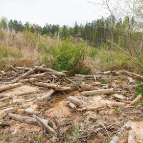Twin Rivers Tract 16 in Henderson County, TN