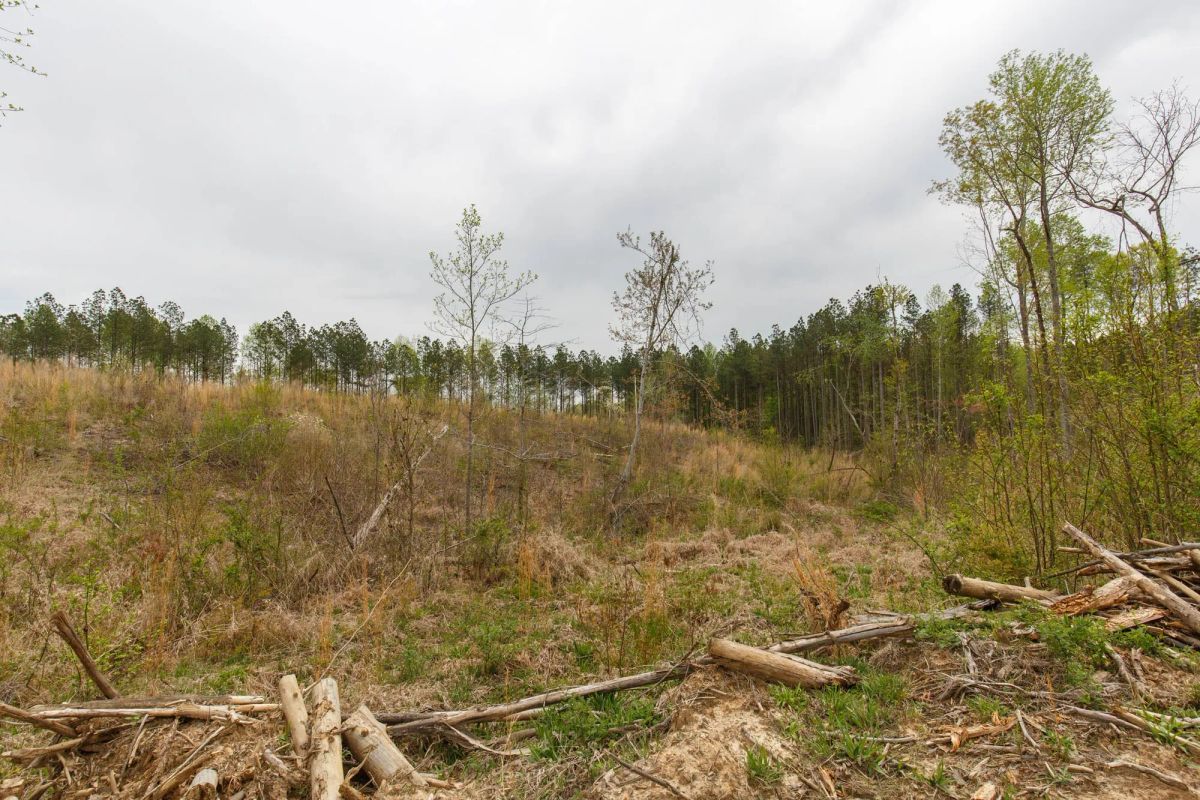 Twin Rivers Tract 16 - Image 4