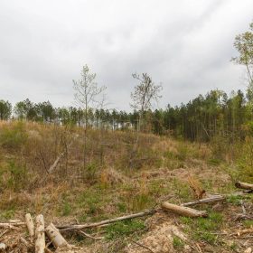 Twin Rivers Tract 16 in Henderson County, TN