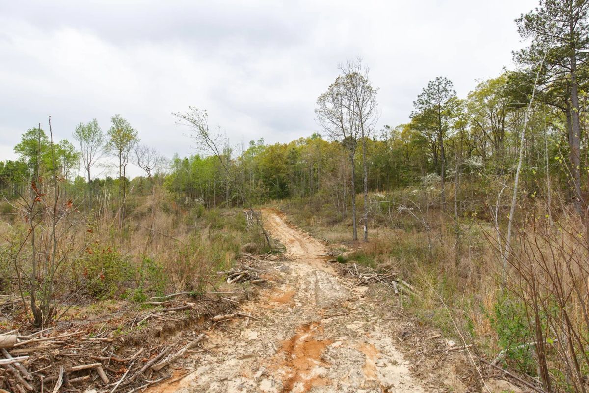 Decorative background for Twin Rivers Tract 16 image 5