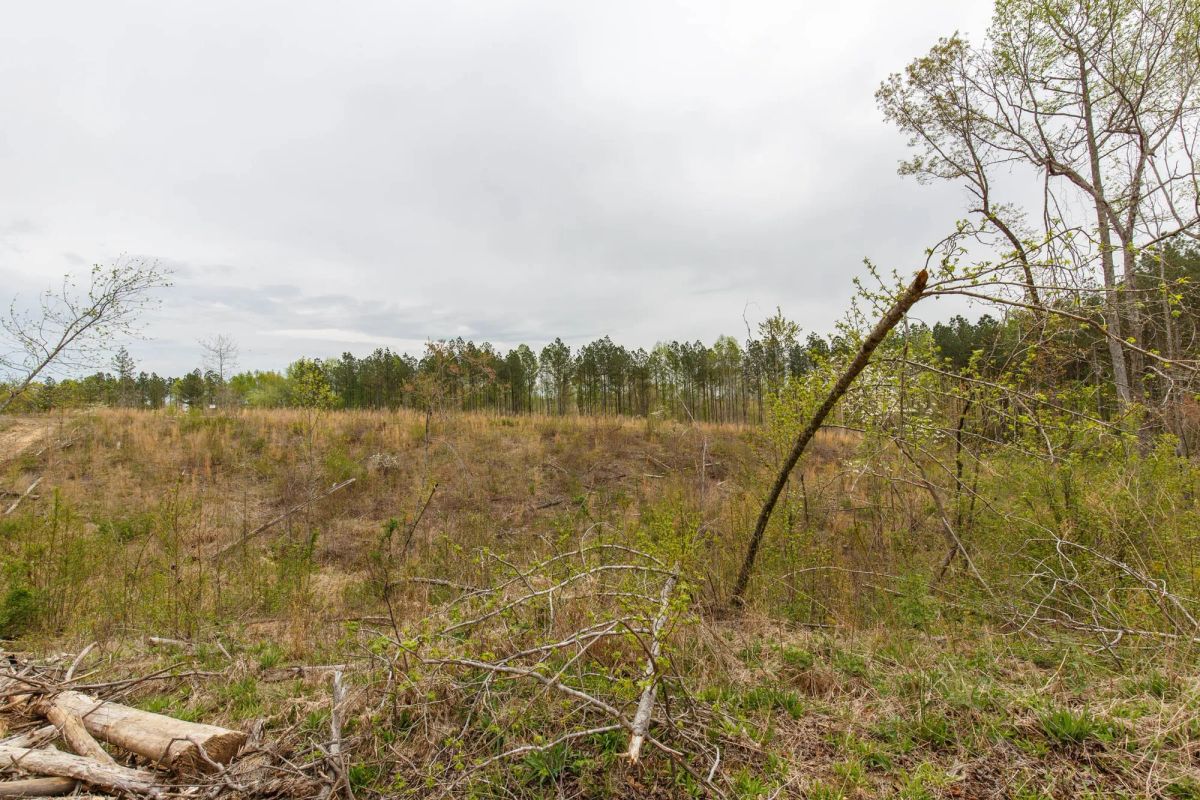 Decorative background for Twin Rivers Tract 16 image 6