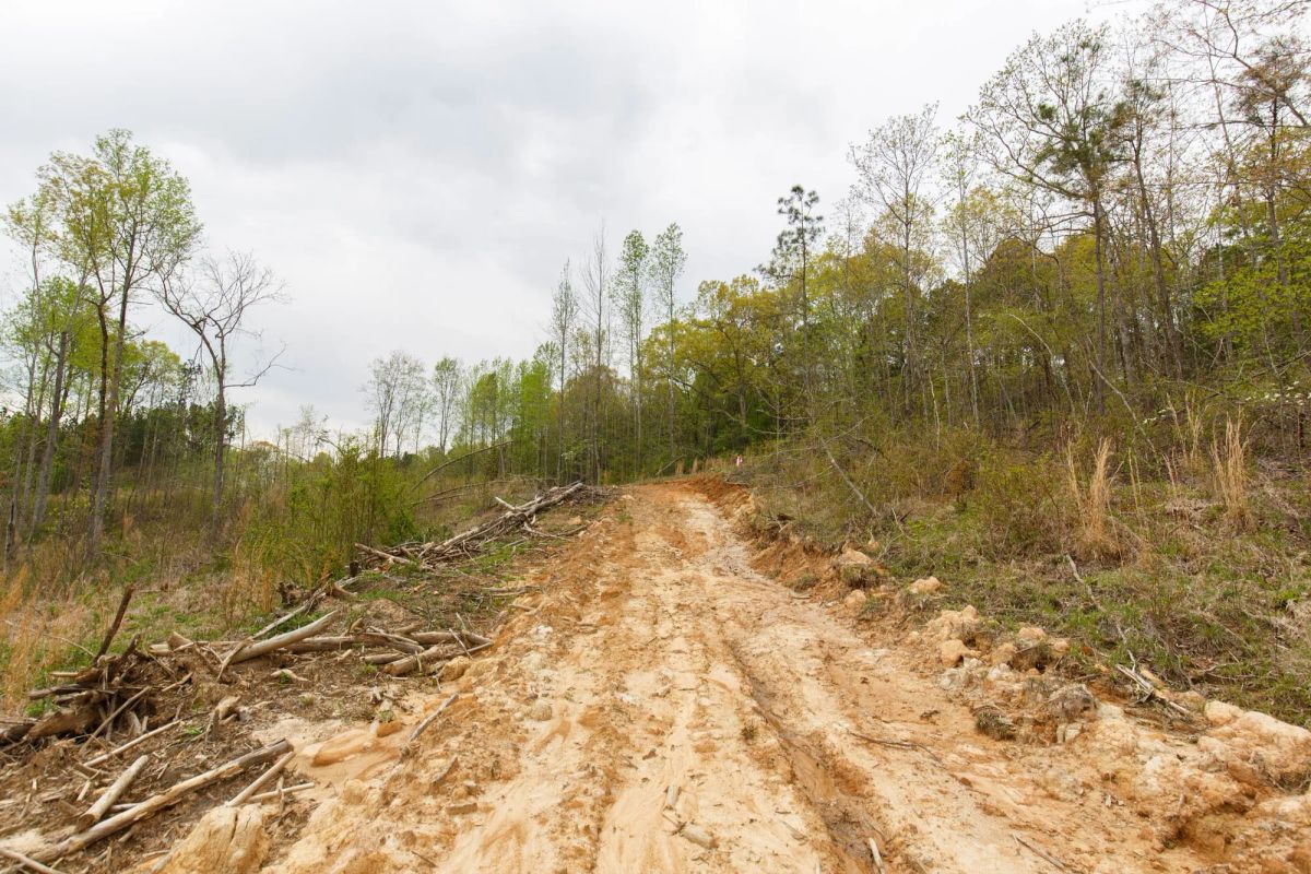 Decorative background for Twin Rivers Tract 16 image 7