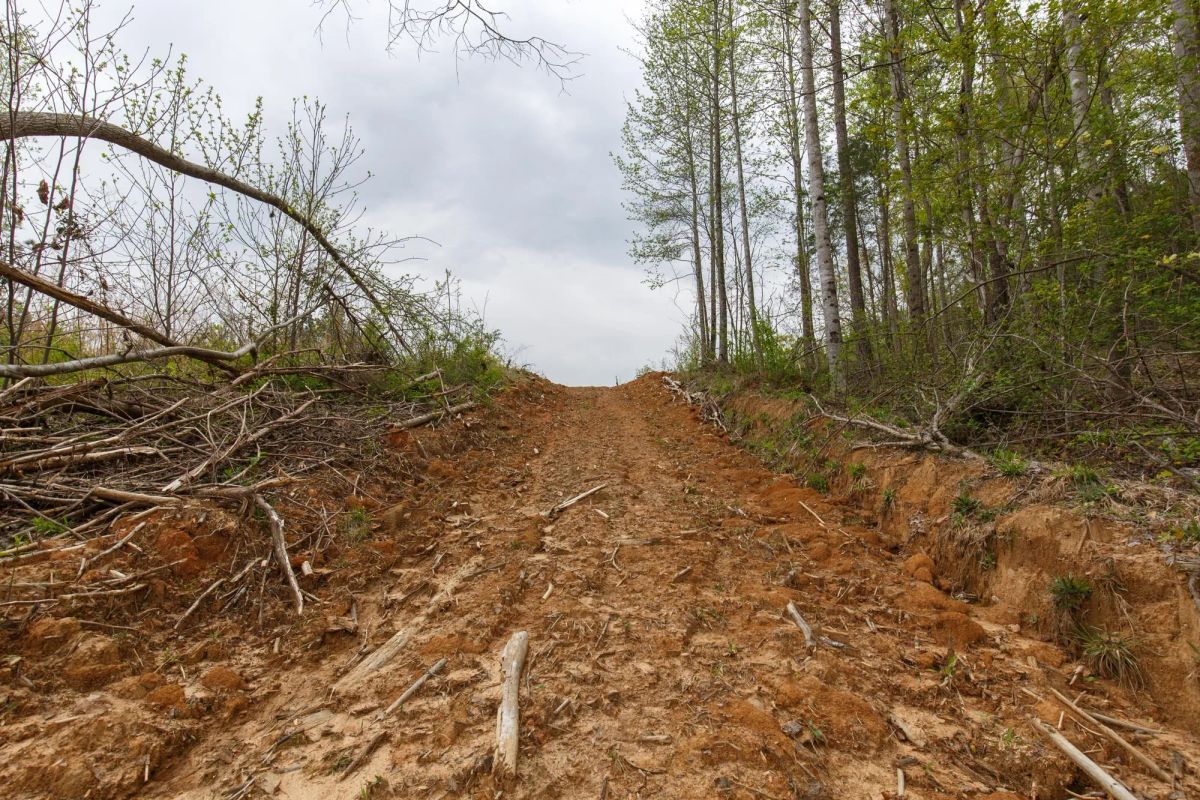 Decorative background for Twin Rivers Tract 16 image 10