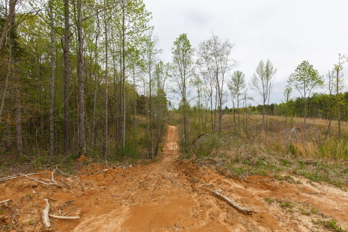Decorative background for Twin Rivers Tract 16 image 13