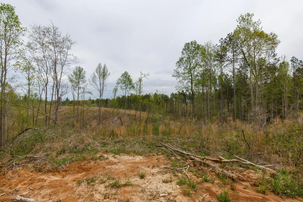 Decorative background for Twin Rivers Tract 16 image 14
