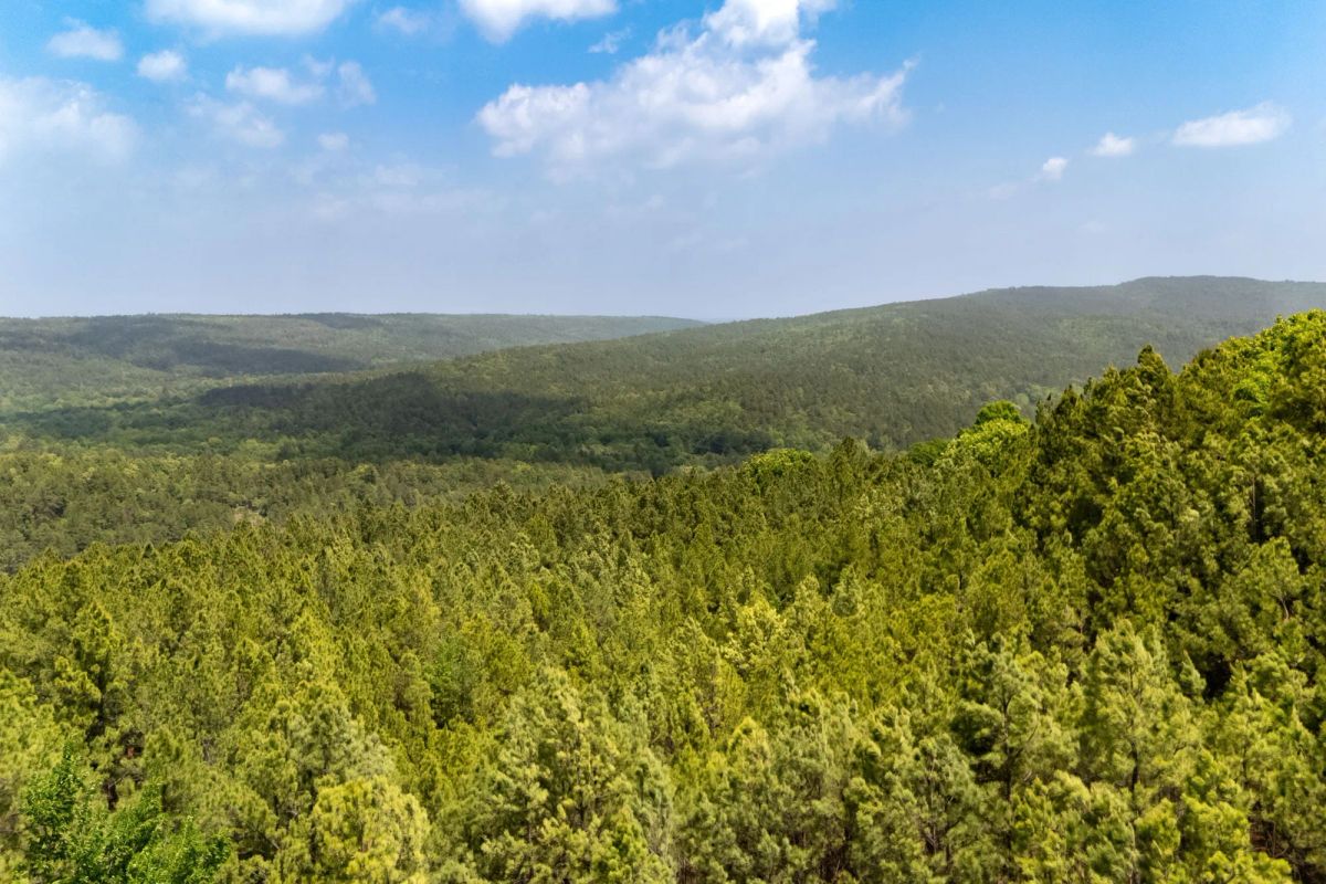 Stone Bridge Reserve Tract 35 - Main image