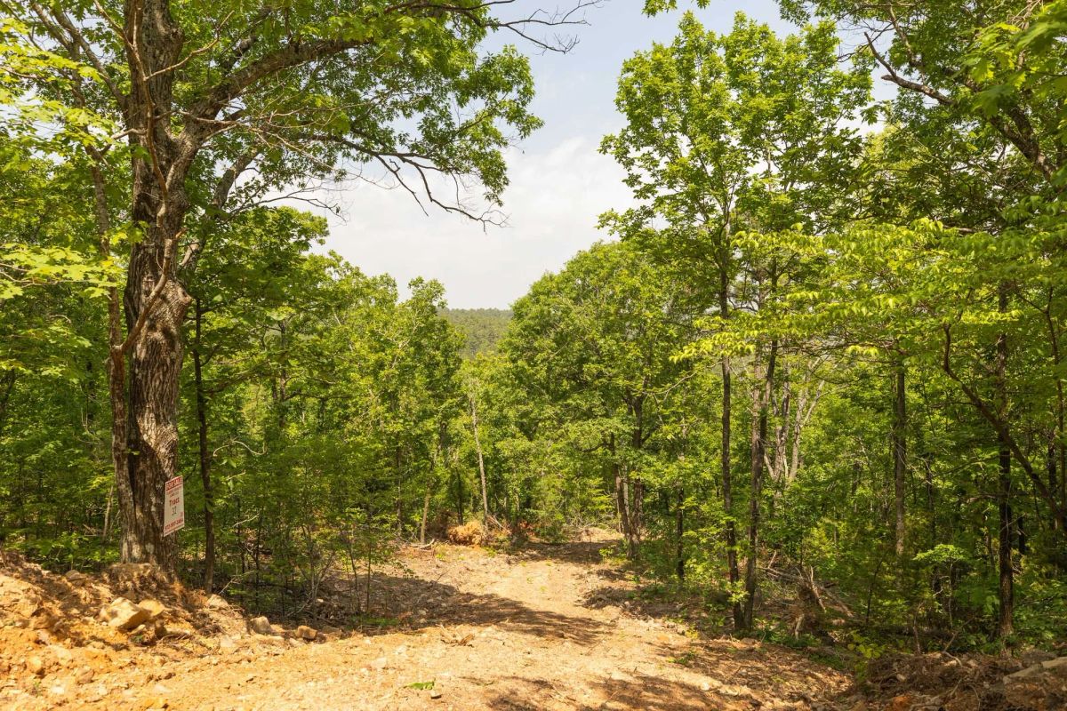 Stone Bridge Reserve Tract 35 - Image 2