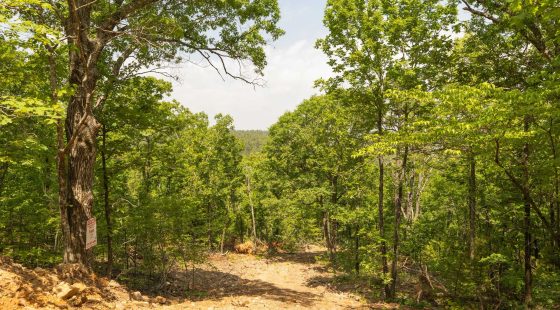 Stone Bridge Reserve Tract 35 in Haskell County, OK