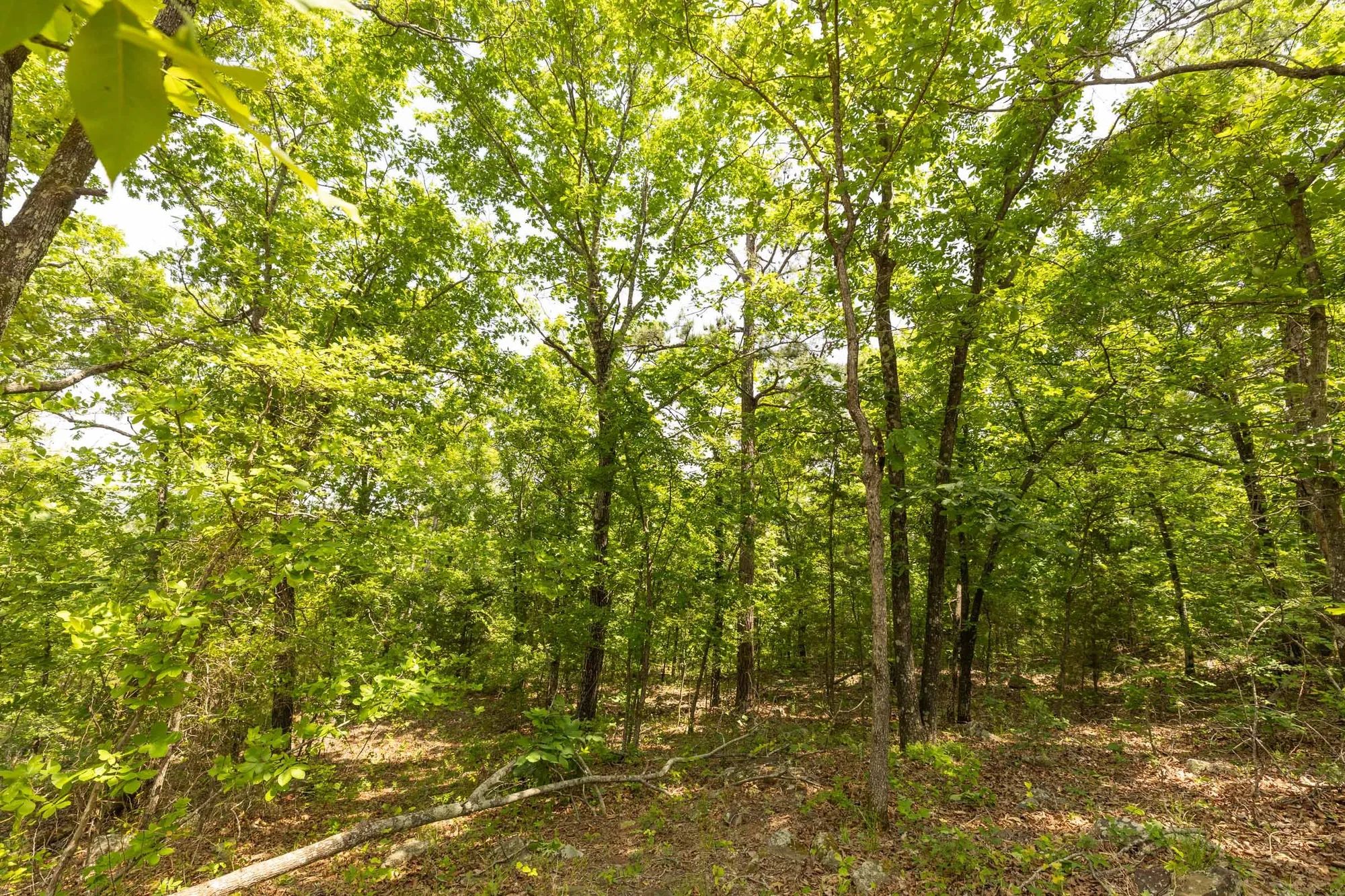 Stone Bridge Reserve Tract 35 in Haskell County, OK