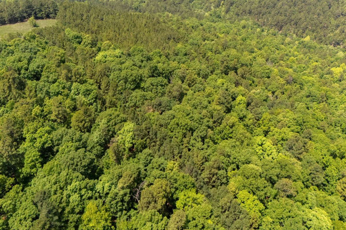 Stone Bridge Reserve Tract 35 - Image 4