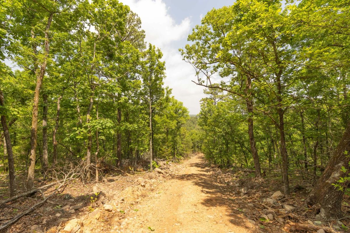 Decorative background for Stone Bridge Reserve Tract 35 image 7