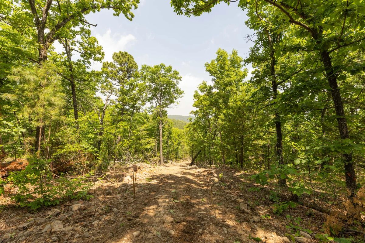 Decorative background for Stone Bridge Reserve Tract 35 image 12